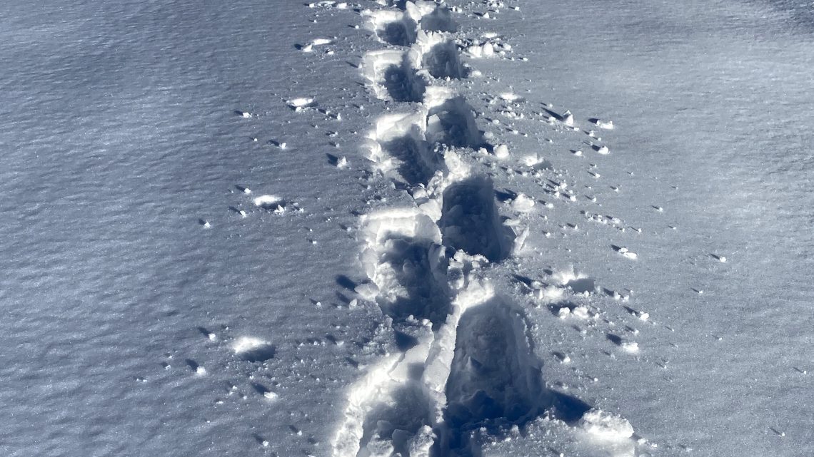 Mit den Schneeschuhen