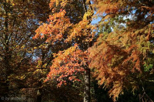 20151031144252_IMG_0019