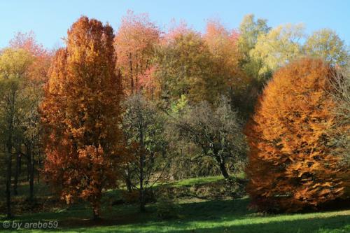 20151031144915_IMG_0021