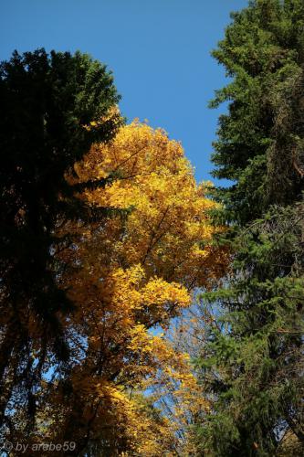 20151031145152_IMG_0022