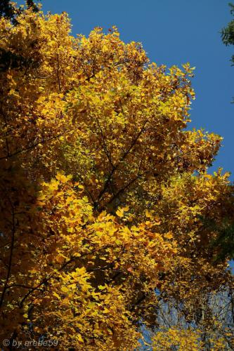 20151031145214_IMG_0023