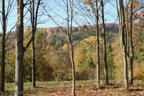 20151031150611_IMG_0026