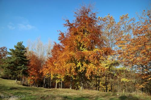 20151031150826_IMG_0027