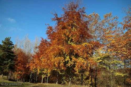 20151031150845_IMG_0028