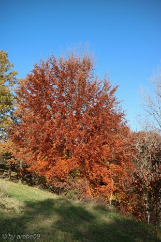 20151031151138_IMG_0030