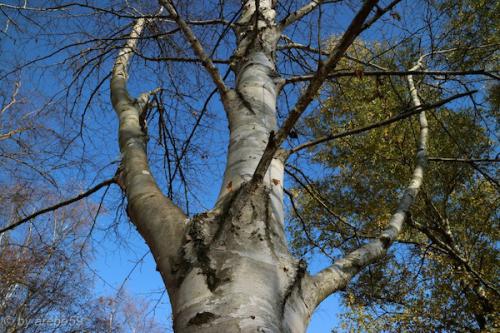 20151031152355_IMG_0034