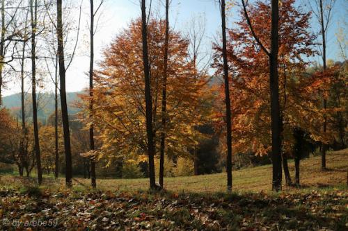 20151031152413_IMG_0035