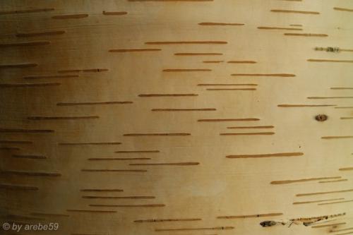 20151031152529_IMG_0037