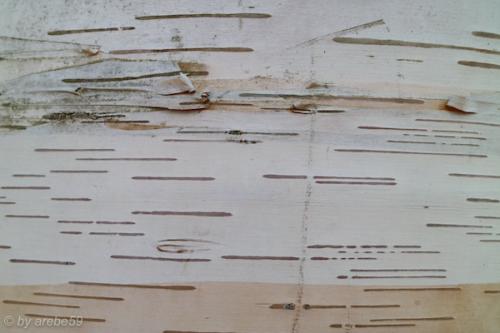 20151031152611_IMG_0038