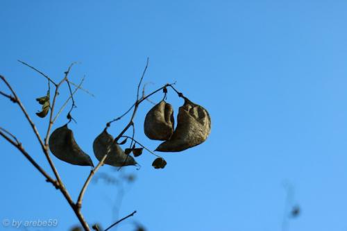 20151031153541_IMG_0042