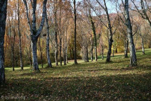 20151031153658_IMG_0043