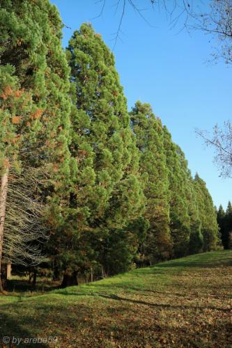 20151031154113_IMG_0044