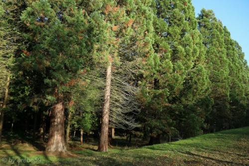 20151031154152_IMG_0045