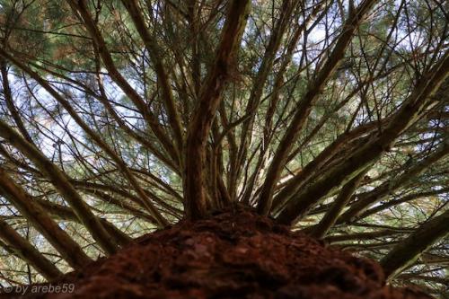 20151031154450_IMG_0046