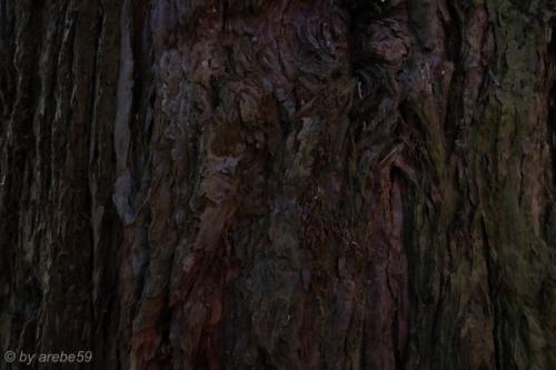 20151031154604_IMG_0047