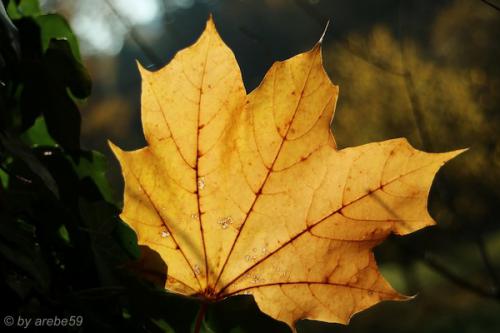 20151031155525_IMG_0052