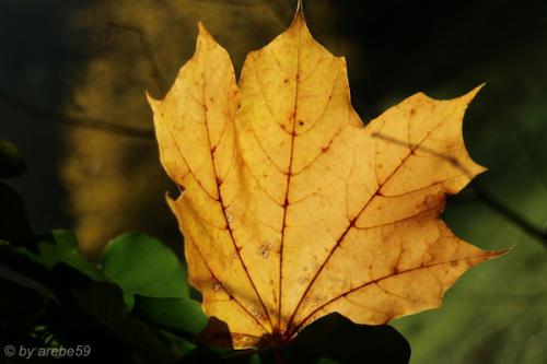 20151031155614_IMG_0053