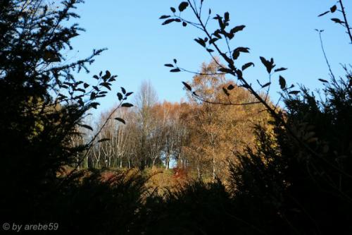 20151031160006_IMG_0054