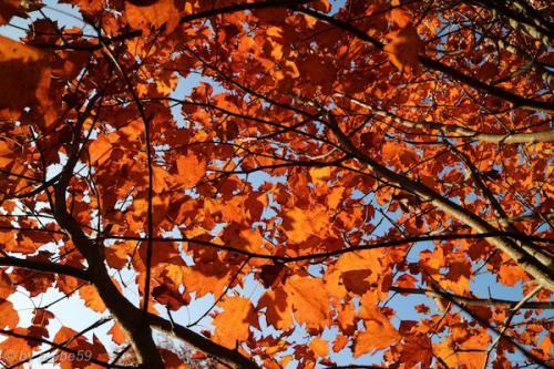 20151031160554_IMG_0057