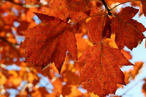 20151031160802_IMG_0061