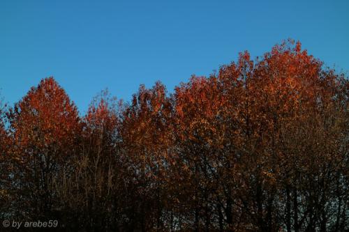 20151031161440_IMG_0062