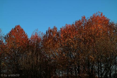 20151031161446_IMG_0063