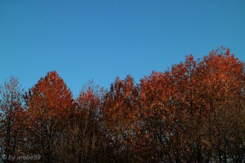 20151031161458_IMG_0064