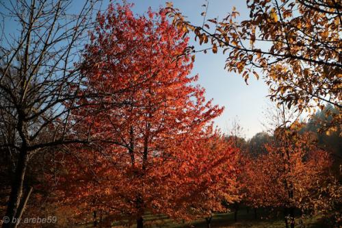 20151031162224_IMG_0066