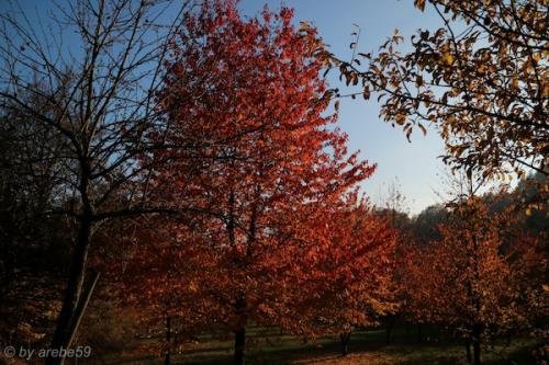 20151031162259_IMG_0067