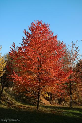 20151031162407_IMG_0068