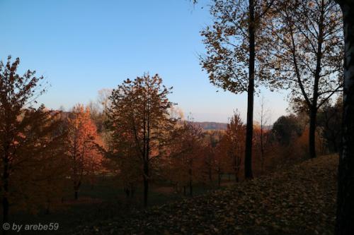 20151031162655_IMG_0069