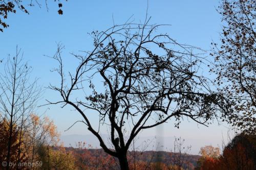 20151031162753_IMG_0070