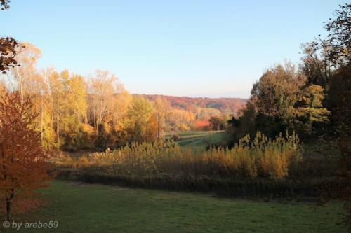 20151031163034_IMG_0071