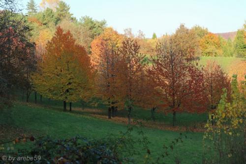 20151031163236_IMG_0072