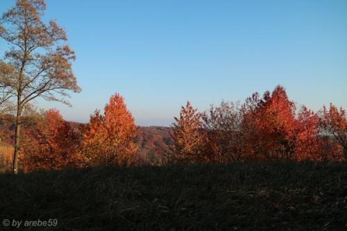 20151031163724_IMG_0075