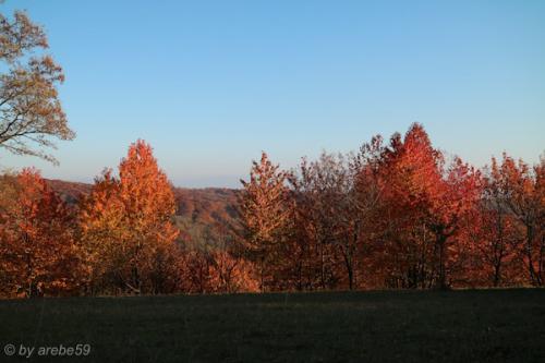 20151031163736_IMG_0076