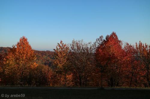 20151031163755_IMG_0077