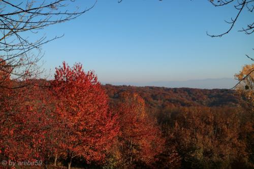 20151031163927_IMG_0078