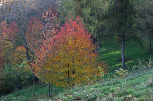 20151031164135_IMG_0079