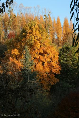 20151031170334_IMG_0082