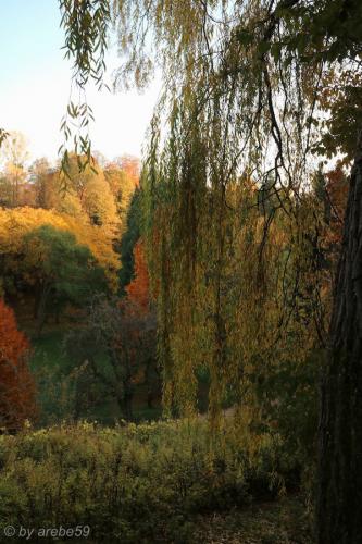 20151031170357_IMG_0083