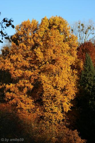 20151031170632_IMG_0086