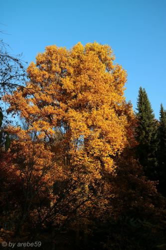 20151031171217_IMG_0087