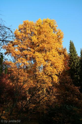 20151031171228_IMG_0088