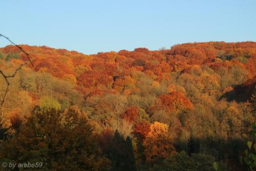 20151031172214_IMG_0089