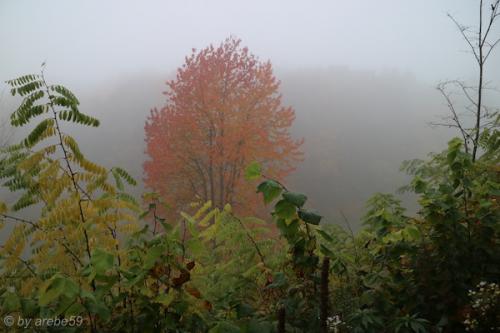 20151101112018_IMG_0098