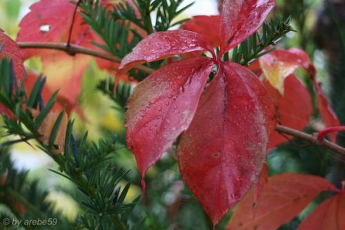 20151101112219_IMG_0099