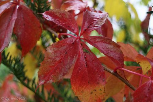 20151101112252_IMG_0100