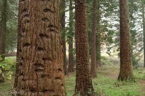 20151101141821_IMG_0101