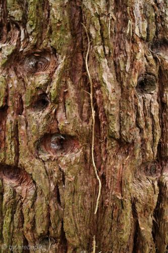 20151101142028_IMG_0102